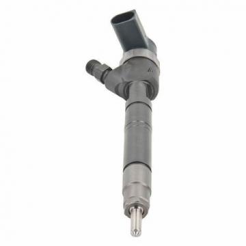 COMMON RAIL 0445110347 injector